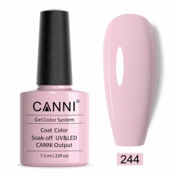 Canni 244 Elegant Purple