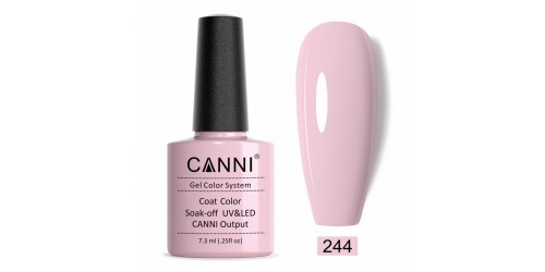 Canni 244 Elegant Purple